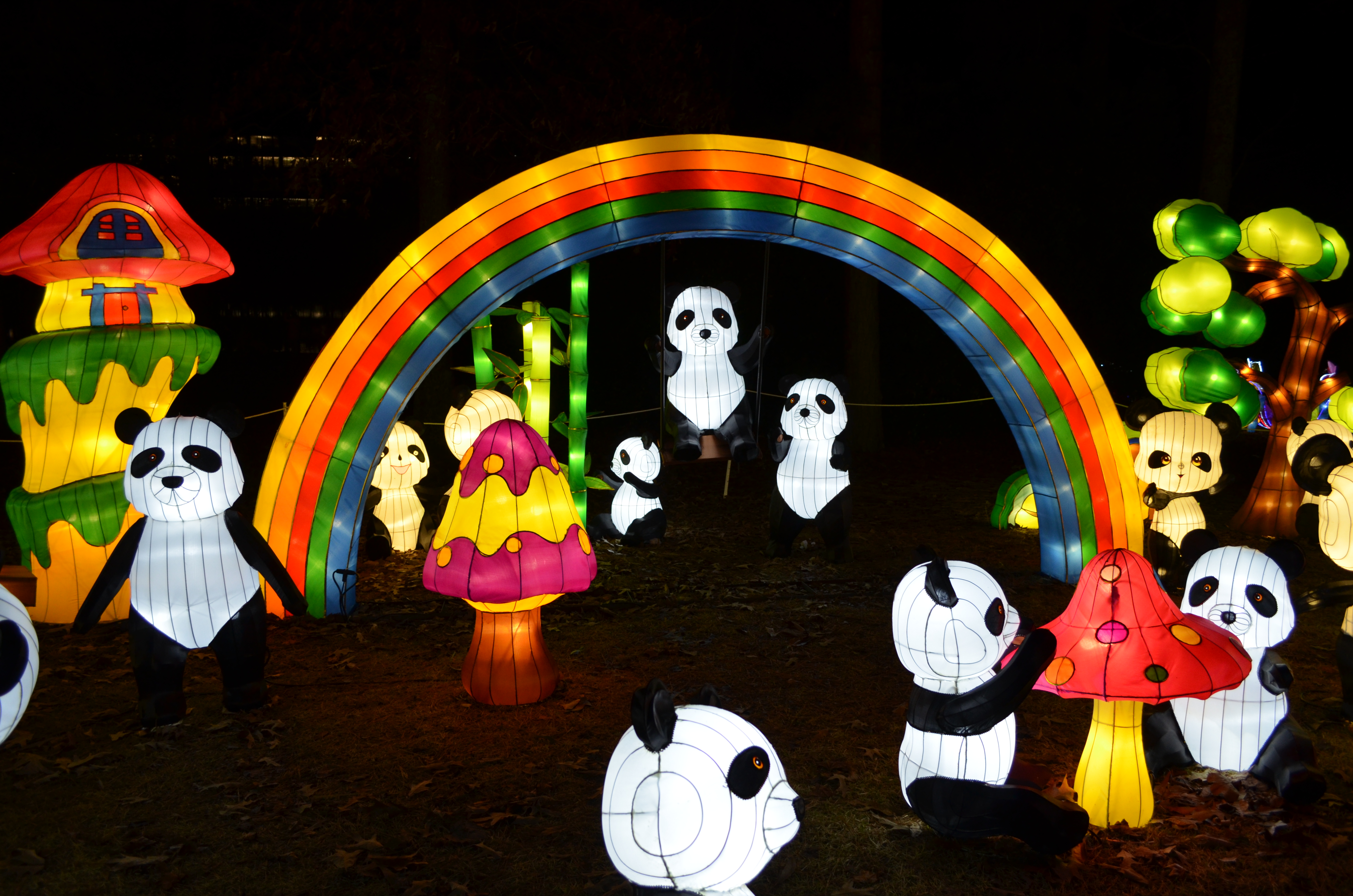 ./2015/33 - Chinese Lantern Festival/DSC_0646.JPG